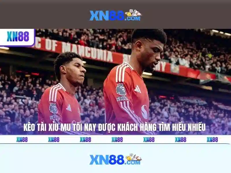 Khái Niệm Cơ Bản