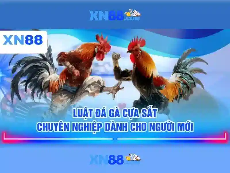 Hệ thống bảo mật
