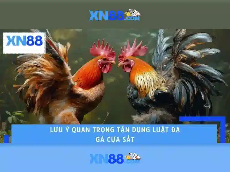 Kinh nghiệm chơi Slot tại XN88
