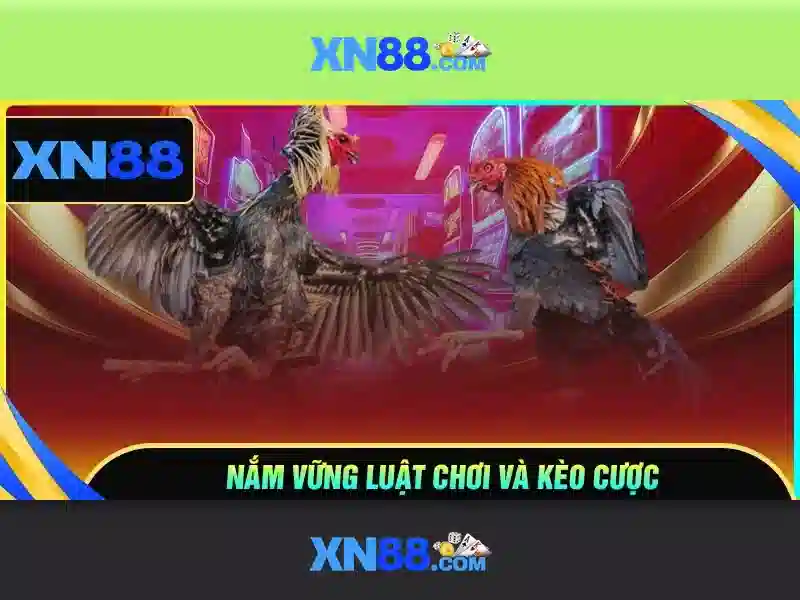 Giới Thiệu Về XN88 app