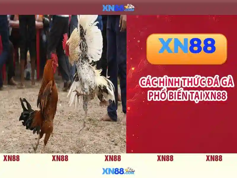 XN88 – Trang Chủ Slot Trực Tuyến Đỉnh Cao Với Tải XN88 Miễn Phí