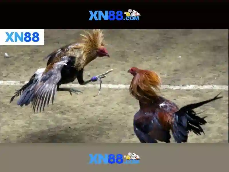 Công Nghệ Mới Nhất Tại XN88 Gaming