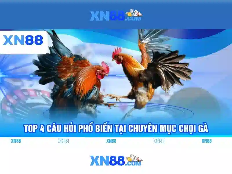 Trải nghiệm Slot đỉnh cao với XN88 Google Play