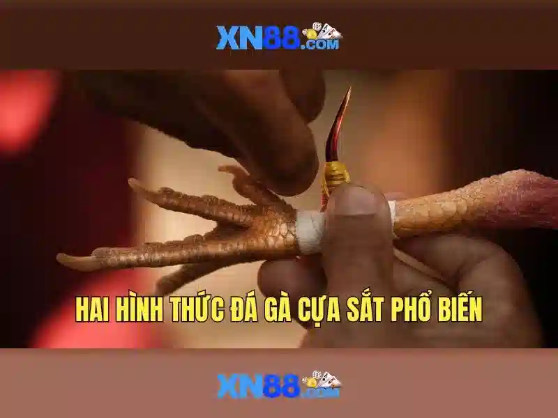 XN88 Game – Trải Nghiệm Slot Đỉnh Cao Cùng XN88 2026