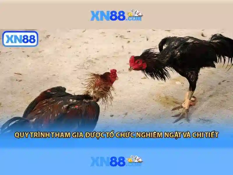 trải nghiệm Slot XN88