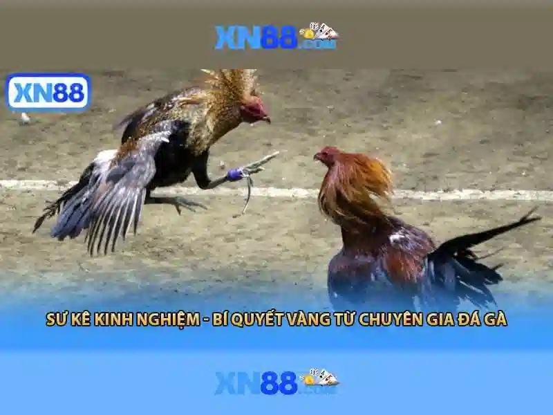 Khuyến Mãi Slot