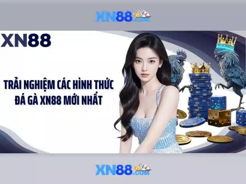 Giới Thiệu Về XN88