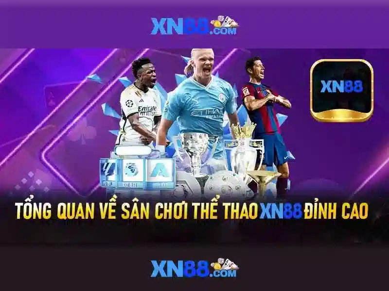 Giới Thiệu Về XN88