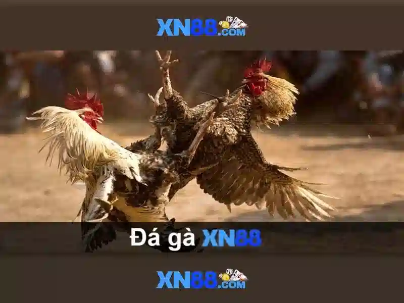Trải nghiệm chơi slot trên xn88 app