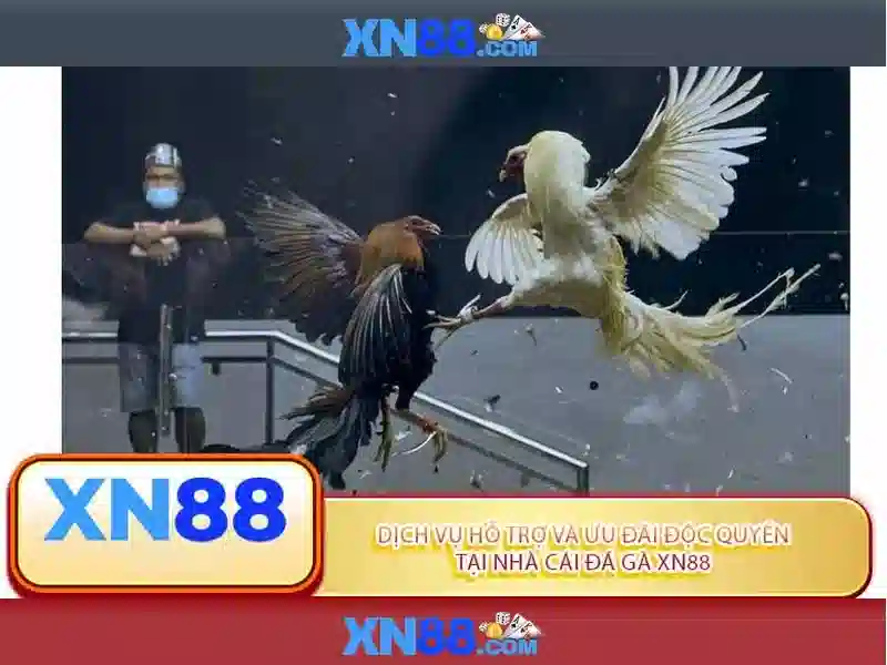 Giao diện XN88 Slot