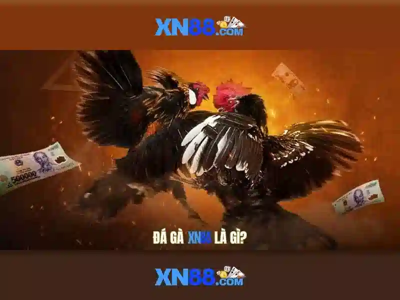 XN88 Slot – Trải Nghiệm Trò Chơi Slot Đỉnh Cao Cùng Nhà Cái Uy Tín