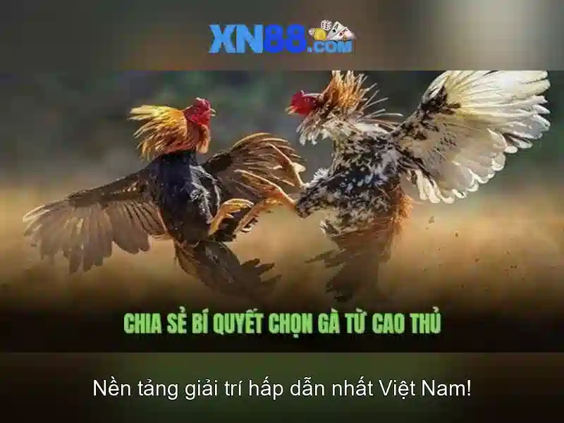 Ưu Điểm Của Cá Cược Thể Thao XN88