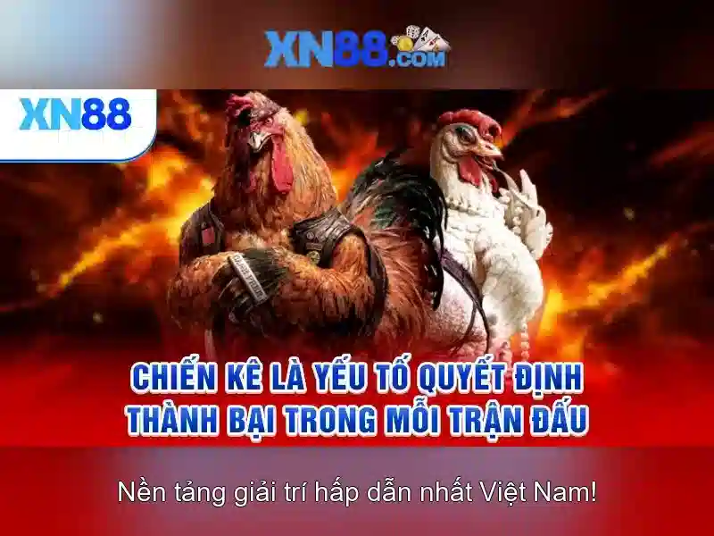 Ưu Đãi XN88