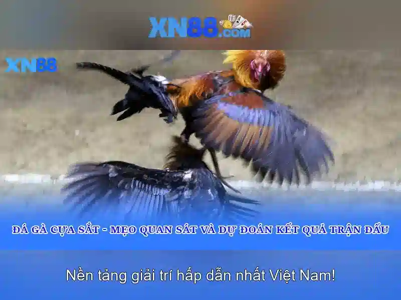 Rút tiền XN88 Casino