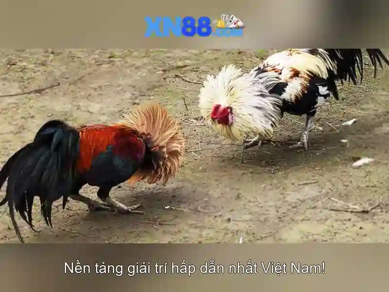 Đa dạng trò chơi mới nhất tại XN88