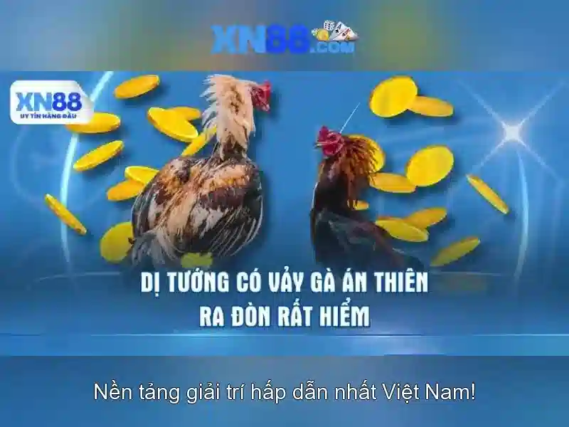 Ưu Đãi Slot