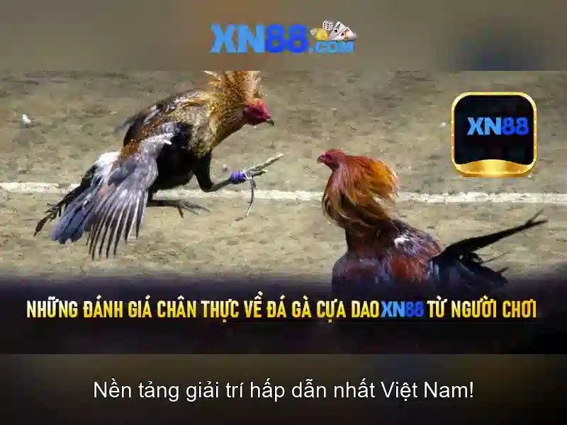 Trải Nghiệm Slot Đa Dạng