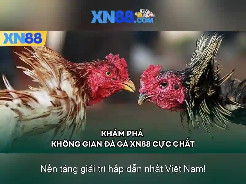 Trải nghiệm chơi slot đỉnh cao