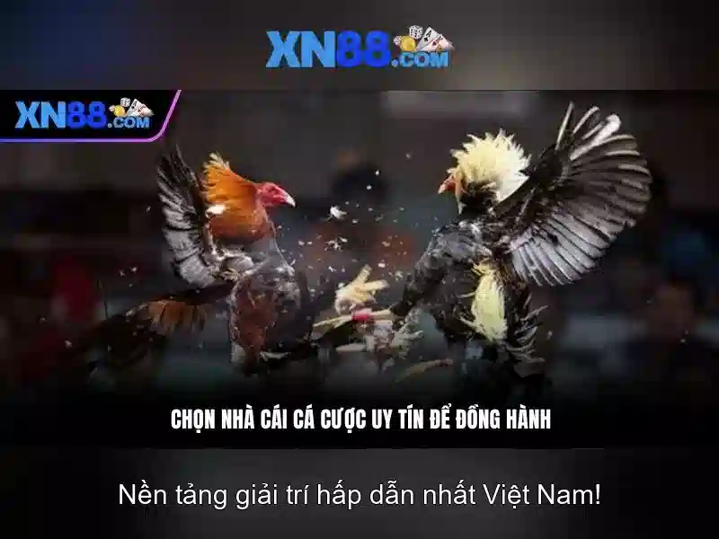 Tận Hưởng SLOT Game Tại XN88