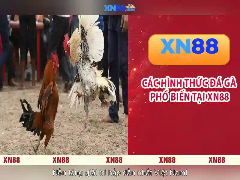 Hướng Dẫn Nạp Tiền