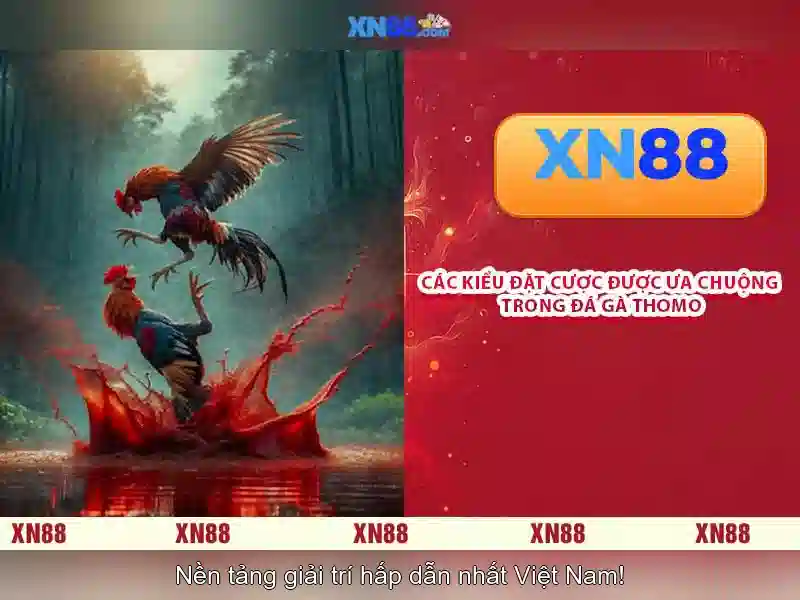 Trải Nghiệm Sòng Bài