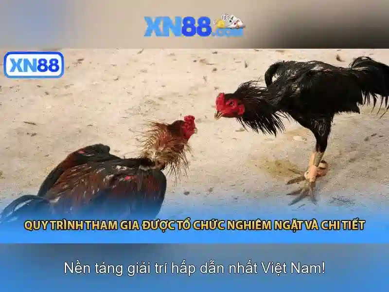 XN88 – Trang Chủ Slot Uy Tín Với Dịch Vụ Hoàn Toàn Miễn Phí 2026