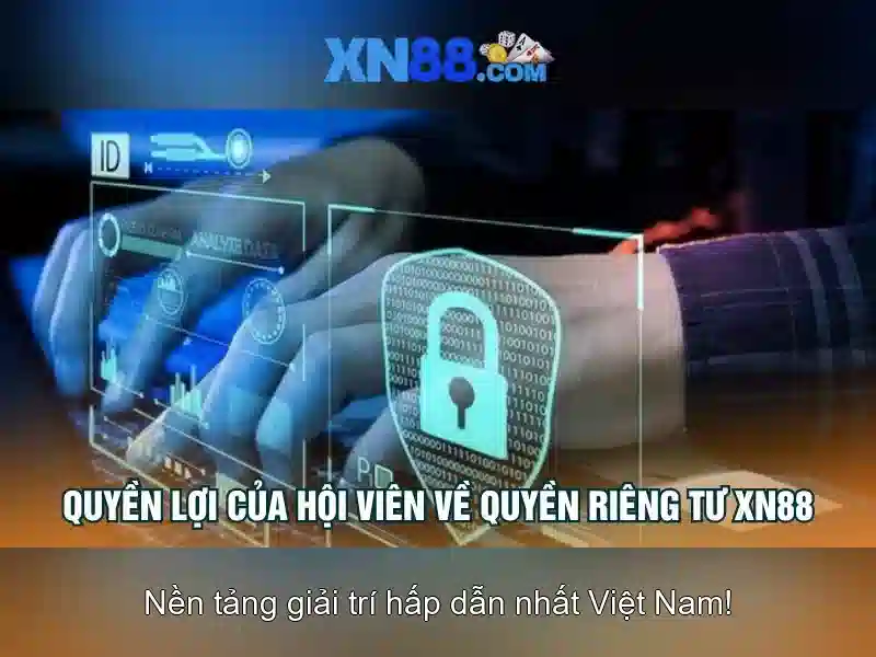Kết Luận XN88 Win
