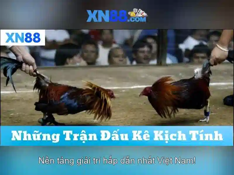 Trải Nghiệm Slot Đỉnh Cao