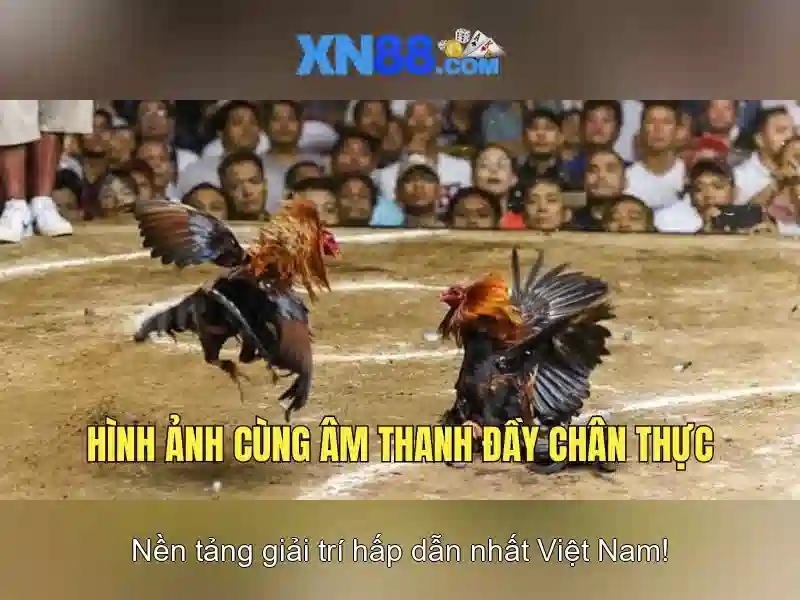 thẻ cào XN88
