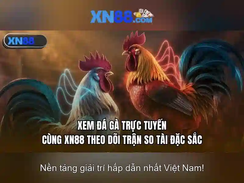XN88 - Đánh Giá XN88 Có Uy Tín Không 2026 | Slot Trực Tuyến
