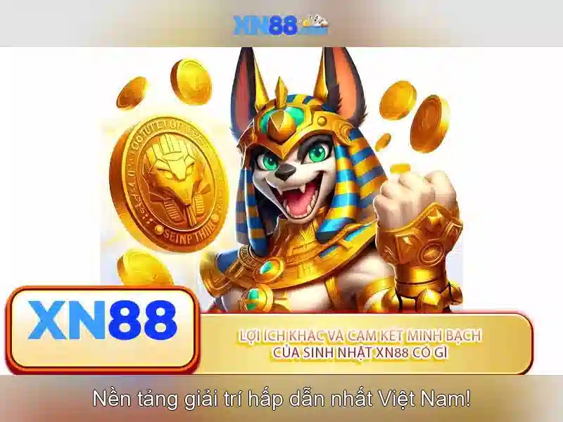 Tải XN88