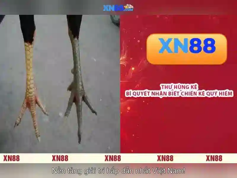 Công nghệ slot hiện đại