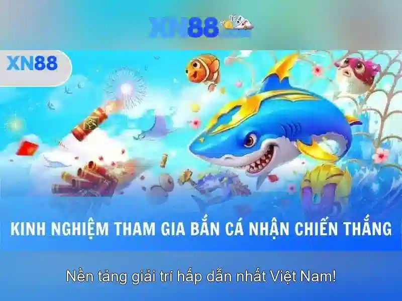 Đặc Điểm XN88